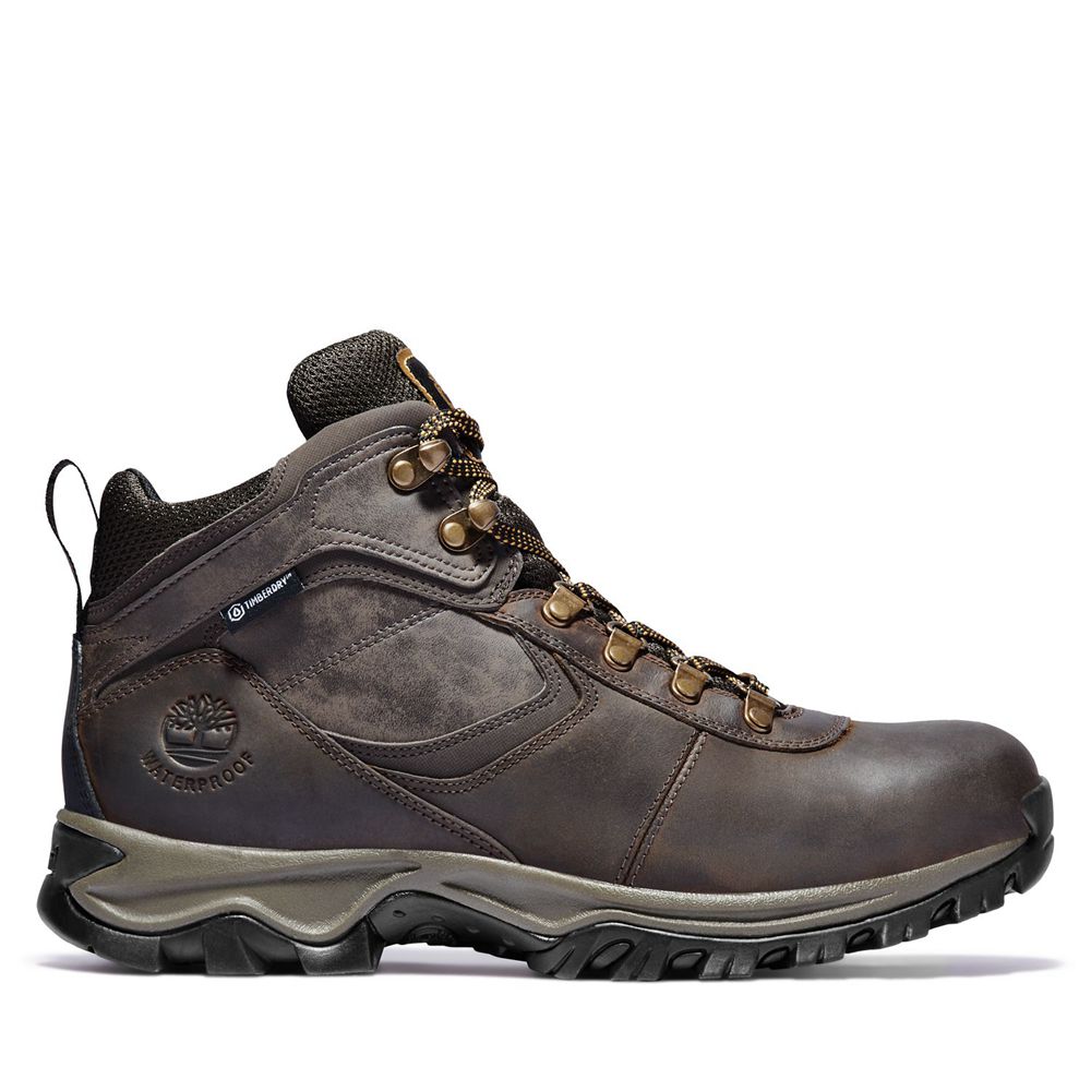 Botas de Montaña Timberland Hombre Mt. Maddsen Mid Waterproof Marrones Oscuro - Chile AOH-291086